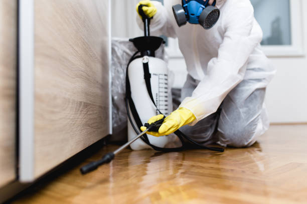 Best Wasp Removal Services  in Bound Brook, NJ