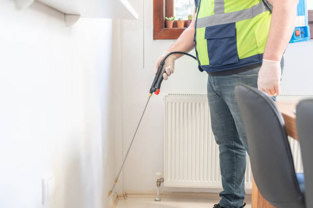 Best Pest Removal Services  in Bound Brook, NJ