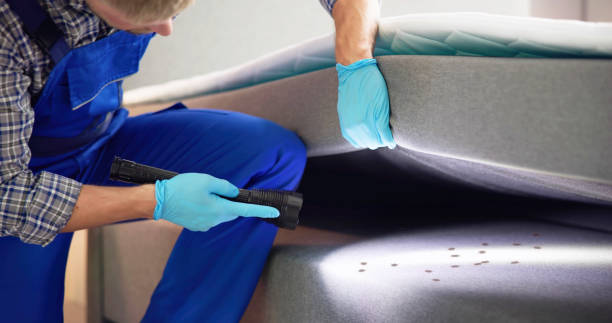 Best Termite Control Services  in Bound Brook, NJ